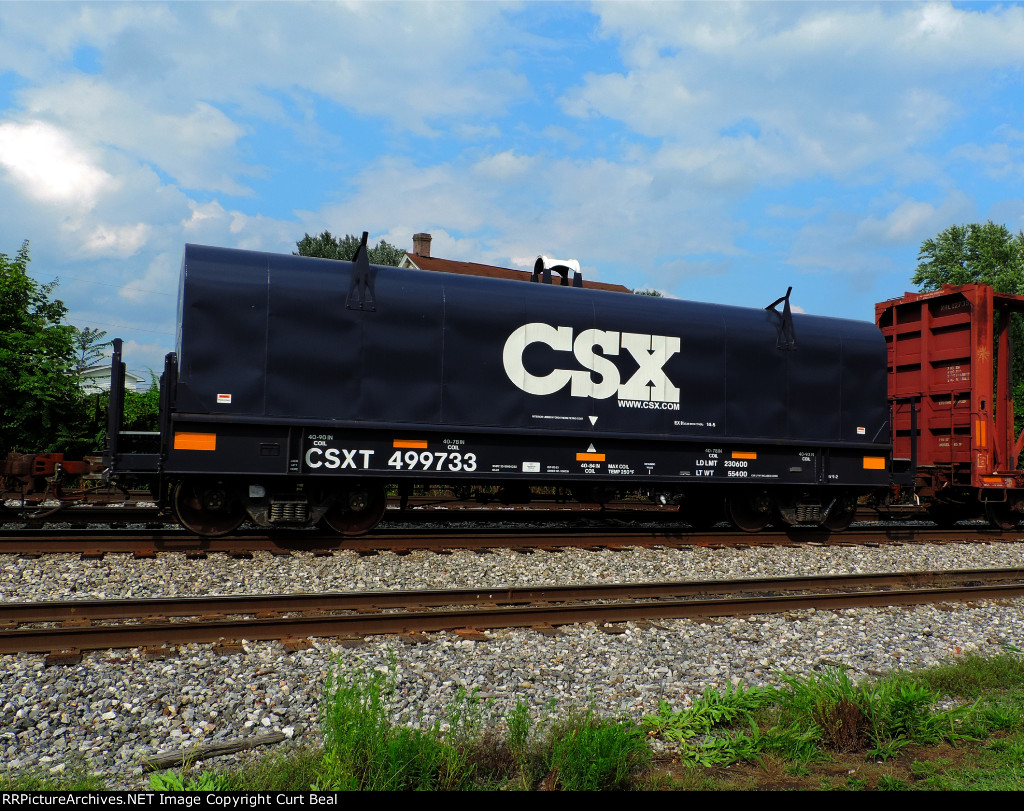 CSX 499733